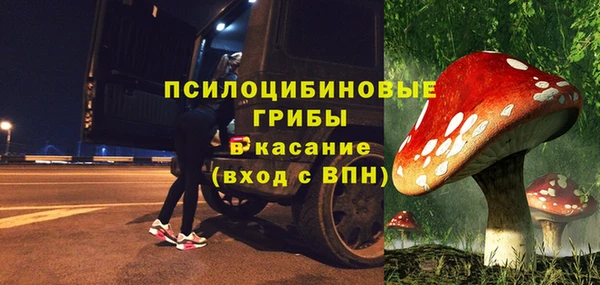 дурь Белокуриха