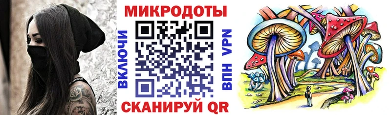 Галлюциногенные грибы Cubensis  Невель 